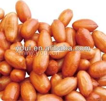 salted beer peanuts