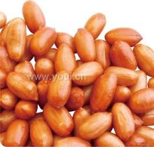 Salted Peanut Snack