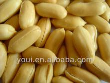 Salted roasted peanuts