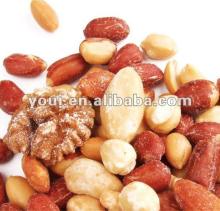 BRC certified salted  mixed   nuts  snacks