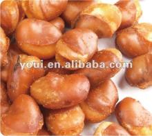 Salted broad beans snacks