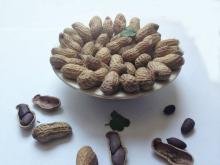 roasted and salted black peanut