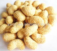 Sesame Cashew Nut / Snacks