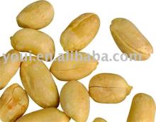 Salted and Roasted Peanuts