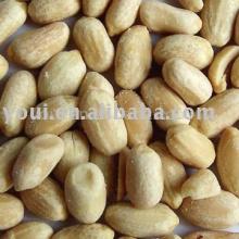 Roasted and salted peanuts