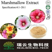Whole Plant,Marshmallow Extract/Marshmallow Extract Powder