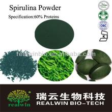 Super Quality  Spirulina  Extract 60% Proteins Powder,Health Food Supplement