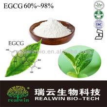 High Purity Green Tea Extract/EGCG 60%~EGCG 98%