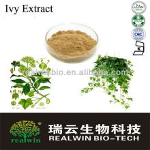 Natural 100% Ivy Leaf Extract /Ivy extract Hederacoside C 10%