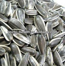 Sunflower seeds