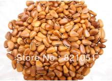 pine nut