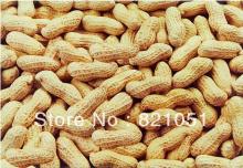 peanut