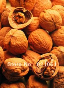 walnut nut
