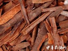 Cinnamon Extract Cinnamic acid CAS:140-10-3 Natural perfume