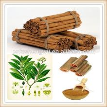 organic cinnamon bark extract/natural cinnamon bark extract/cinnamon bark powder extract
