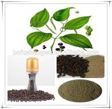 black pepper fruit extract/black pepper extract piperin/100% natural black pepper extract