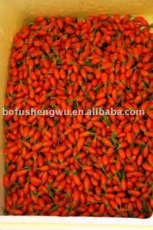 Lyclum Chinese Mill Extract Goji berry concentrated juice