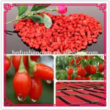organic goji berry extract powder/natural goji extract powder/goji powder extract polysaccharide
