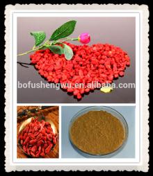 pure goji berries extract,goji extract polysaccharides
