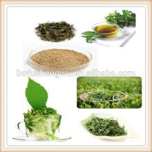 catechin/price catechin/green tea extract catechin