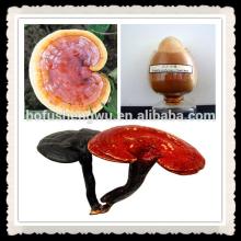 ganoderma lucidum tea