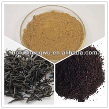 Organic Natural High Quality with Best Price 60% Theaflavins Black Tea Extract