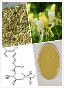  Honey   Suckle   Extract  5%-98% Chlorogenic acid (100% Naturral)