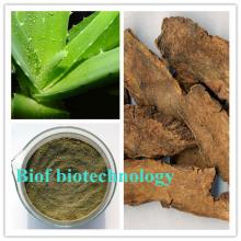 High Qualified and Natural Aloe Vera Extract
