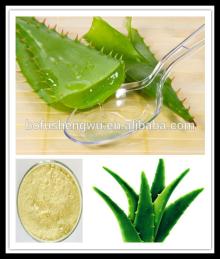 aloe vera extract in shampoo,aloe vera extract 20%aloin