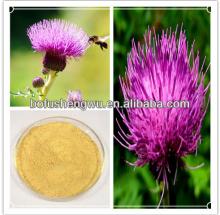 Chinese herb medicine: milk thistle extract