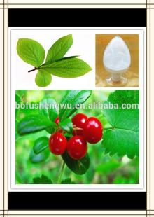 bearberry leaf extract arbutin,alpha arbutin,alpha arbutin cream