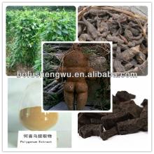  he   shou   wu / he   shou   wu   extract  powder/fo ti