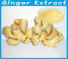 Natural herbal extract Ginger Extract 5% Gengerols Powder
