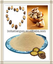 Shiitake Mushroom Extract (Lentinus edodes extract)