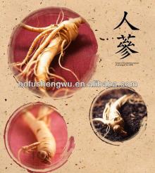 Pure  ginseng  extract/ bulk   ginseng  extract