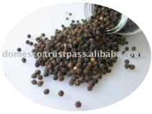 Black pepper vietnam powder