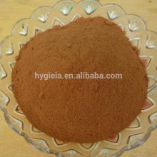 cinnamon powder