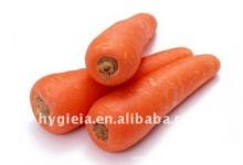 Organic fresh carrot