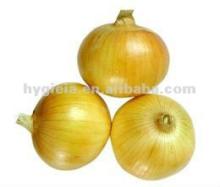 Chinese fresh yellow onion