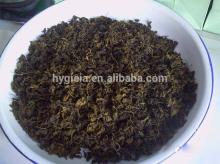 organic ginkgo leaf tea