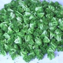 organic dehydrated broccoli