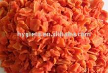 Dehydrated Carrot Granule