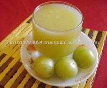 FRESH AMLA JUICE AVAILABLE WITH CUSTOM BRAND AND LOW MINIMUM