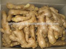AIR DRIED GINGER