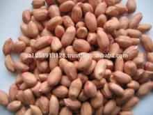 Groundnut In Shell