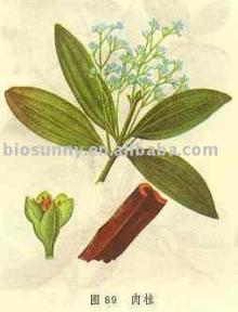 Cinnamon Bark Extract