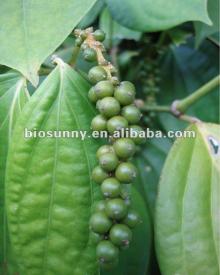 High quality Black pepper extract Piperine 10%-98%