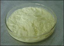 royal jelly in stock