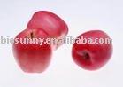 Apple juice concentrates powder