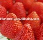  Strawberry   juice   concentrate s powder